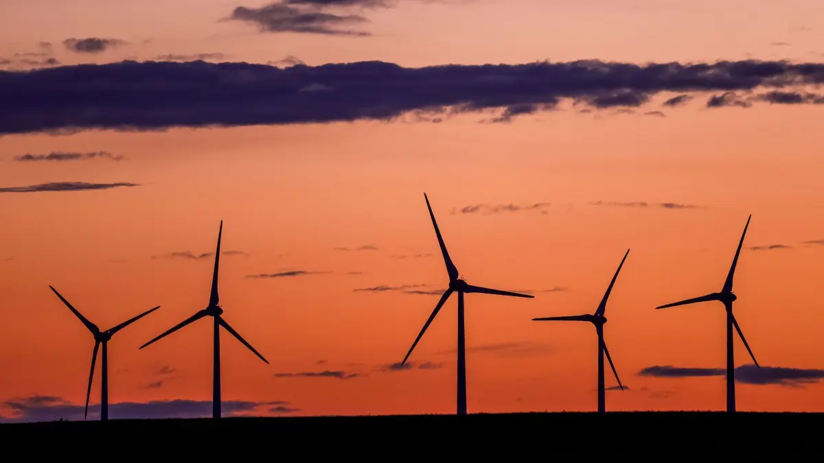Strompreise im Norden sollen sinken: 11.09.2024, Mecklenburg-Vorpommern, Klein Welzin: Die Rotoren von Windkraftanlagen drehen sich nach Sonnenuntergang vor dem abendlich gefärbten Himmel. Der Energieversorger Wemag mit Sitz in Schwerin hat eine deutliche Strompreissenkung zum 01.01.2025 angekündigt. Hintergrund ist eine neue Lastenverteilung bei den Netzentgelten durch die Bundesnetzagentur. Foto: Jens Büttner/dpa +++ dpa-Bildfunk +++