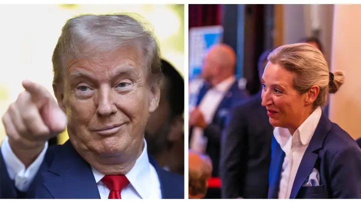 Wahlerfolge der Rechtspopulisten: So viel Trump steckt in der AfD | swp.de