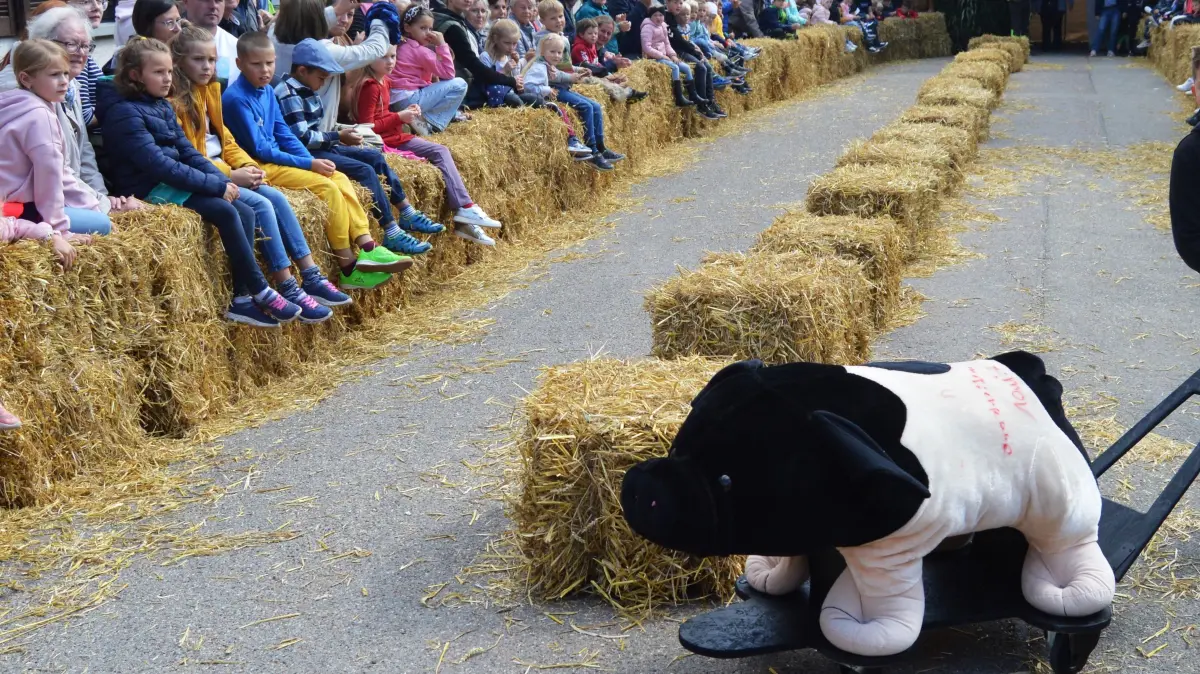 Sichelhenket Roßfeld: Driften mit der Sau. Die neue Variante des Saurennens sorgte für viel Heiterkeit im Publikum und für sportliche Herausforderungen für die Treiber.