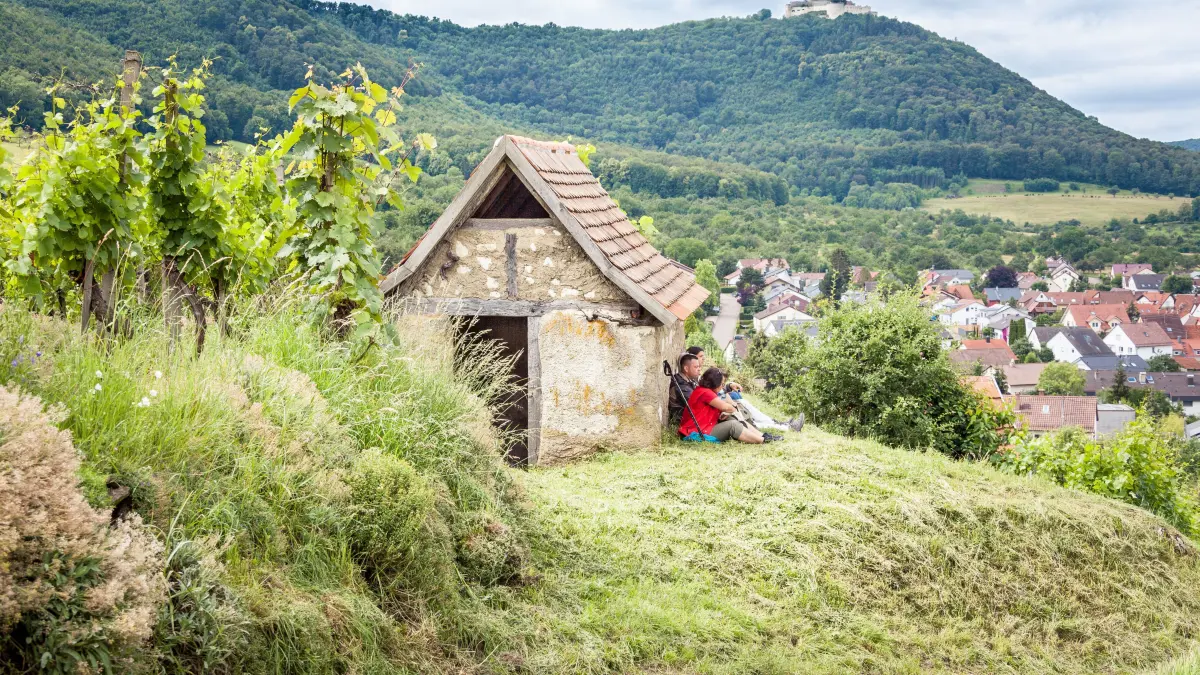 Rast in den Beurener Weinbergen mit Blick zum Hohenneuffen