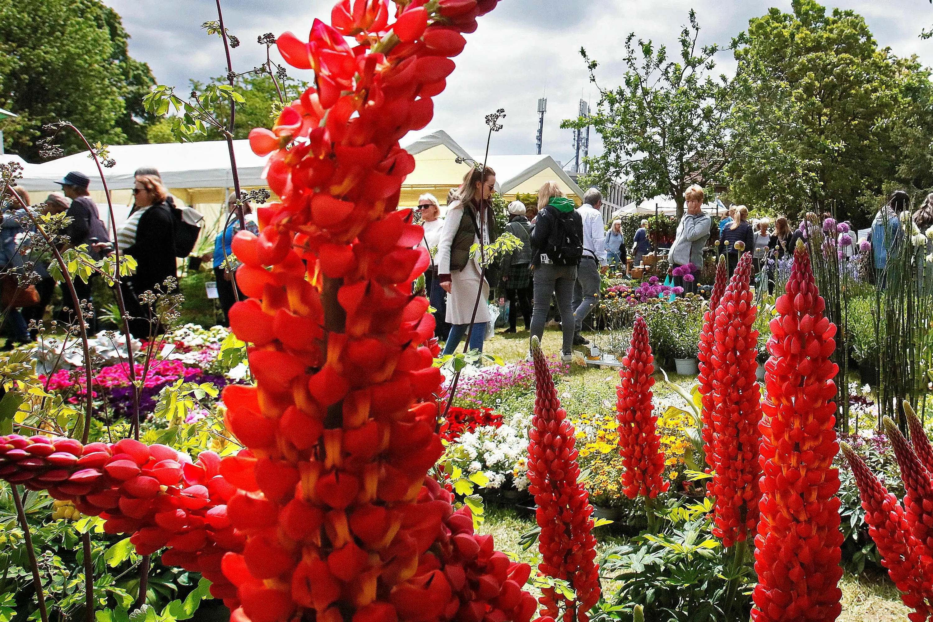 Reutlingen Gartenmesse in Reutlingen 10000 zum Start der Garden Life