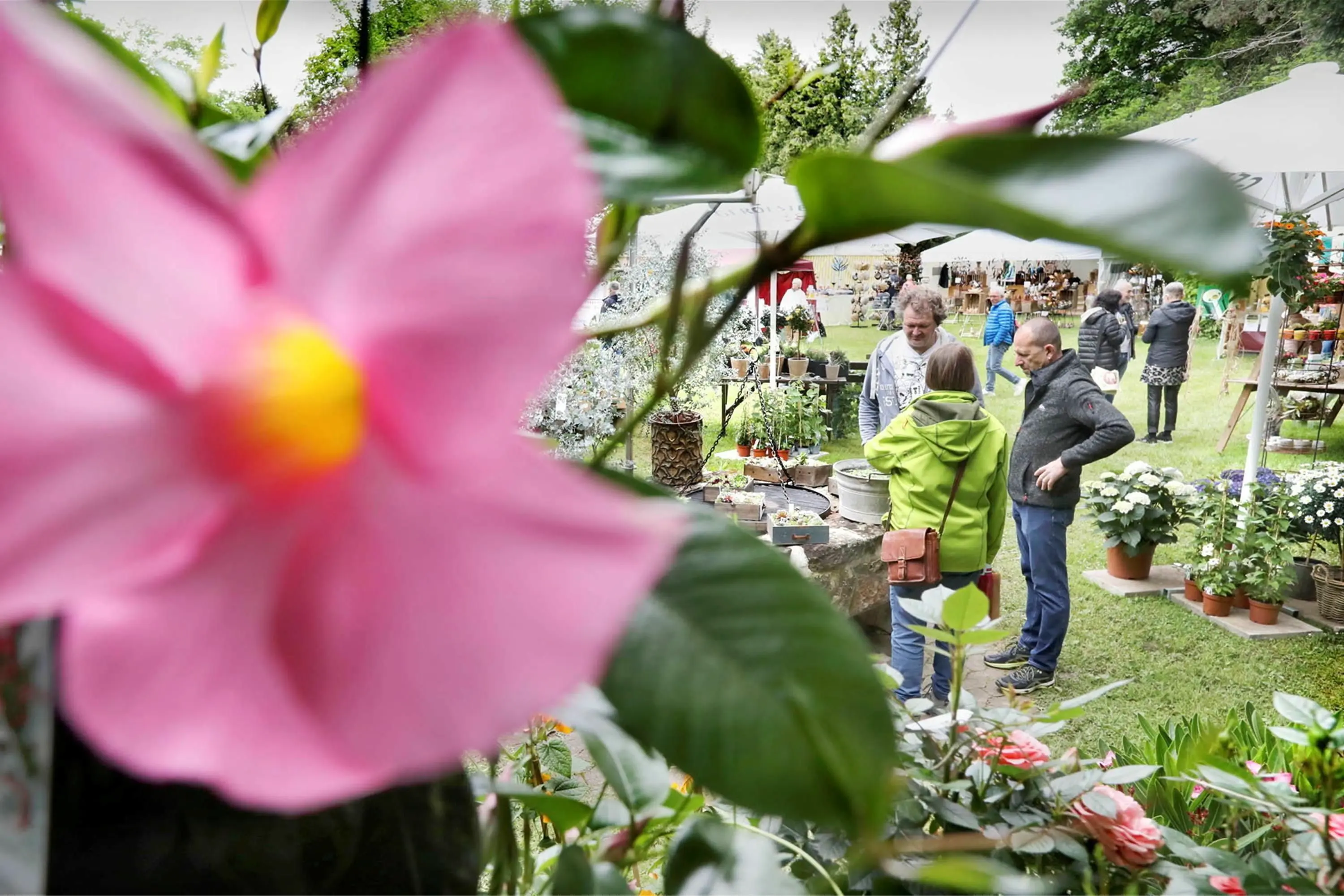 Tübingen · Genussmarkt „Garten & Gaumen“Messe Entspannt im Park