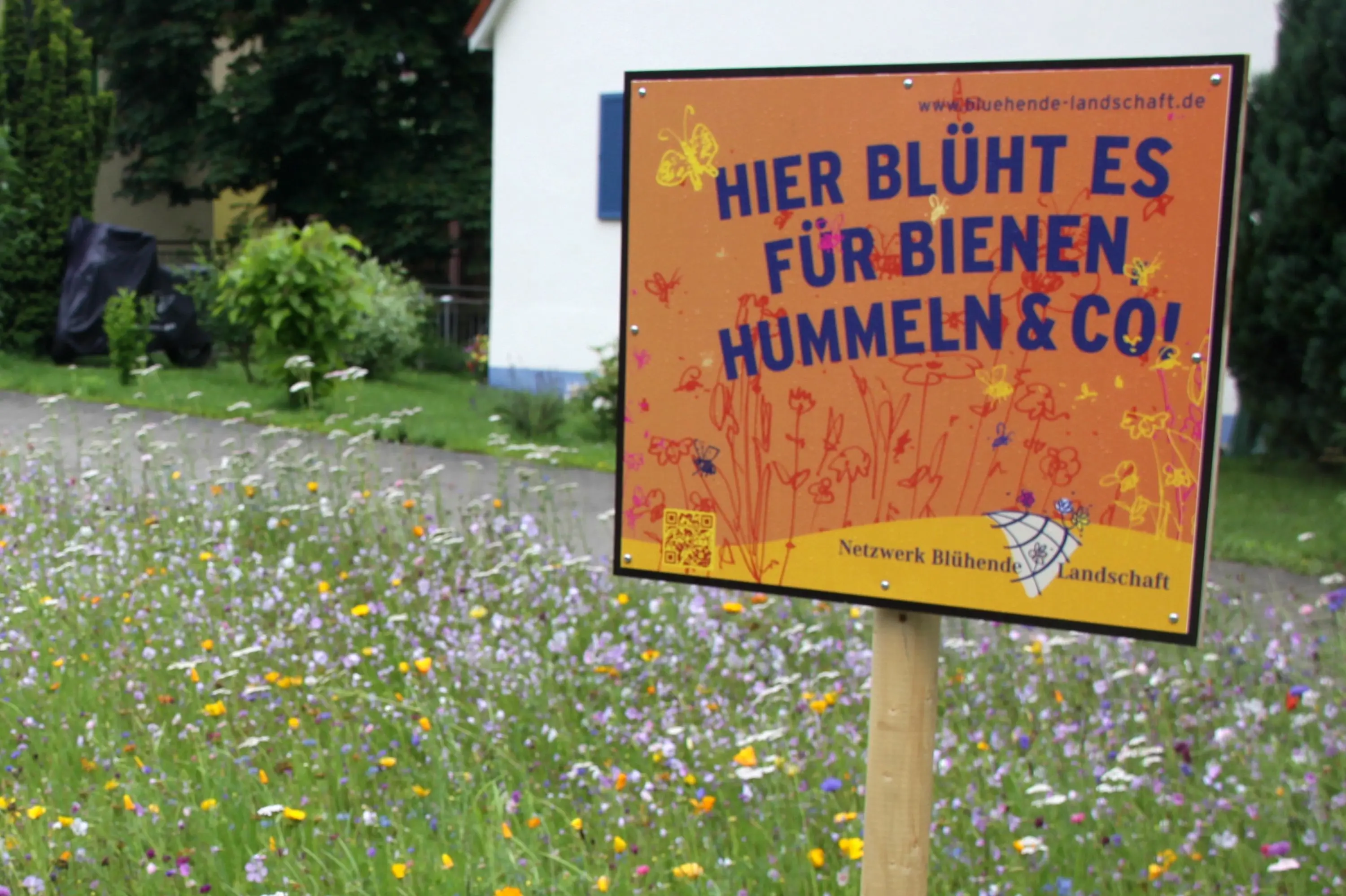 Umwelt Sulzer Stadtgärtner verzichten in Zukunft auf GlyphosatEinsatz
