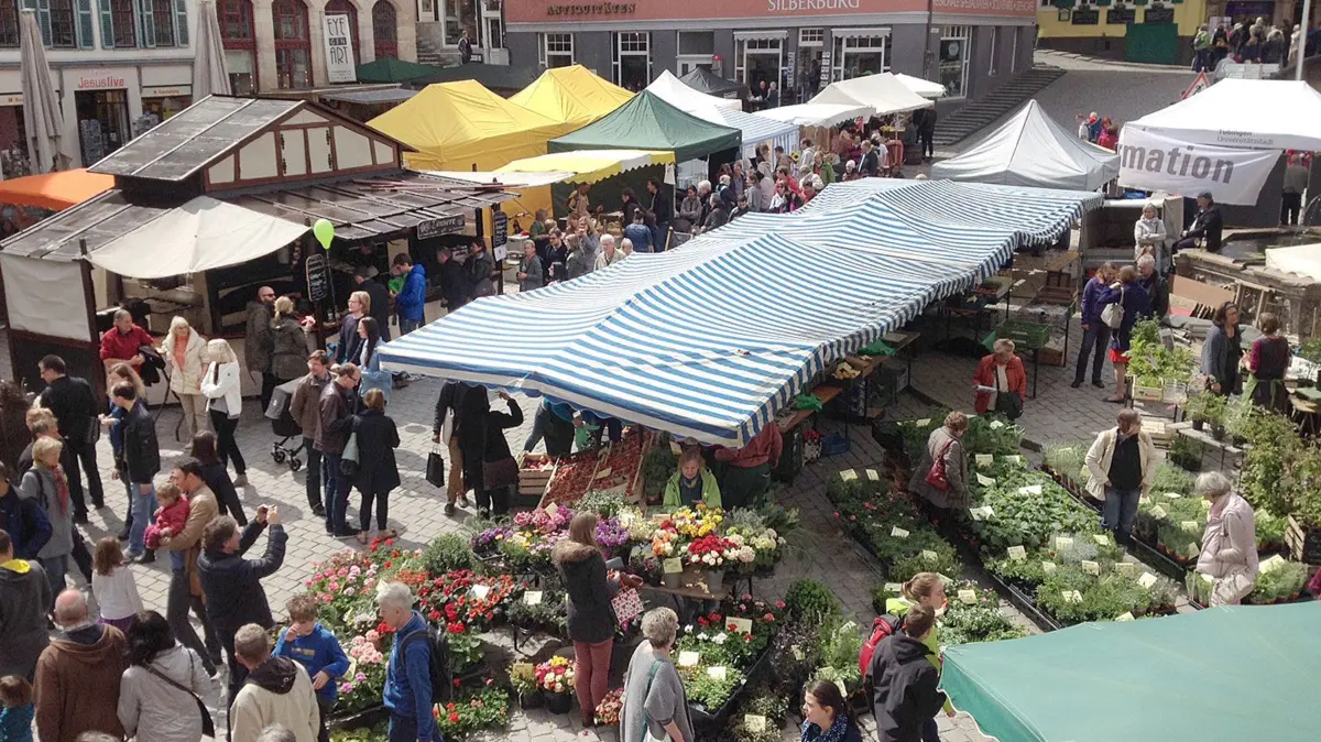 Regionalmarkt Tübingen Herbst