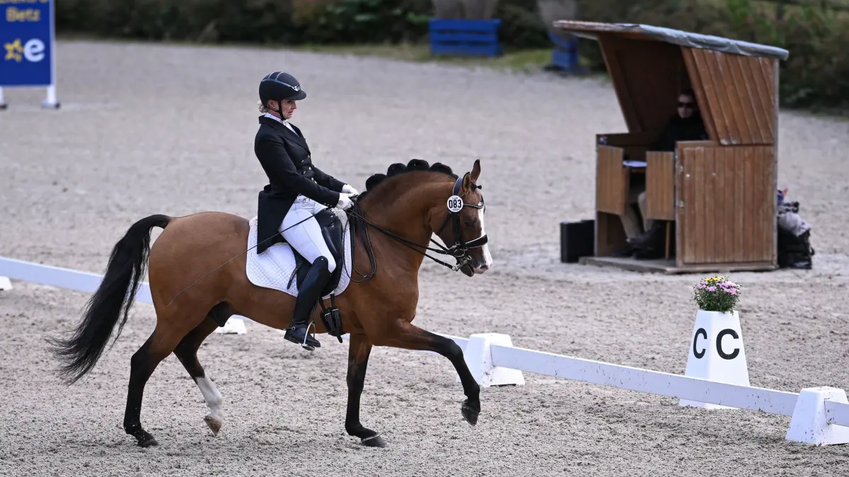 Reiten, Tuebinger Dressurturnier 2024: Reiten, Tuebinger Reitergesellschaft Dressurturnier 2024 06.10.2024
Dressurpfruefung Kl. S (Prix St. Georg)
Aline Arnold (Tuebinger Reitergesellschaft) auf Don Chariton
FOTO: Pressefoto ULMER / Markus Ulmer
xxNOxMODELxRELEASExx