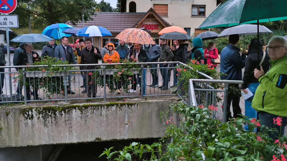 Verwaltung und Bürger schauen sich die mangelnde Grünpflege am Steinbach an