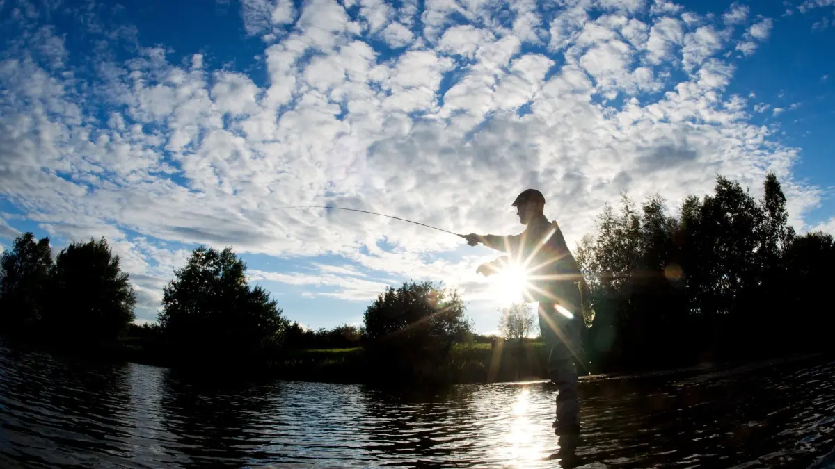 Ein Fliegenfischer vom Fischereiverein Hannover angelt am 09.09.2015 in einem See bei Lehrte in der Region Hannover (Niedersachsen). Foto: Julian Stratenschulte/dpa (zu lni "Verband beklagt starke Zunahme der Fischwilderei" vom 12.09.2015) ++ +++ dpa-Bildfunk +++