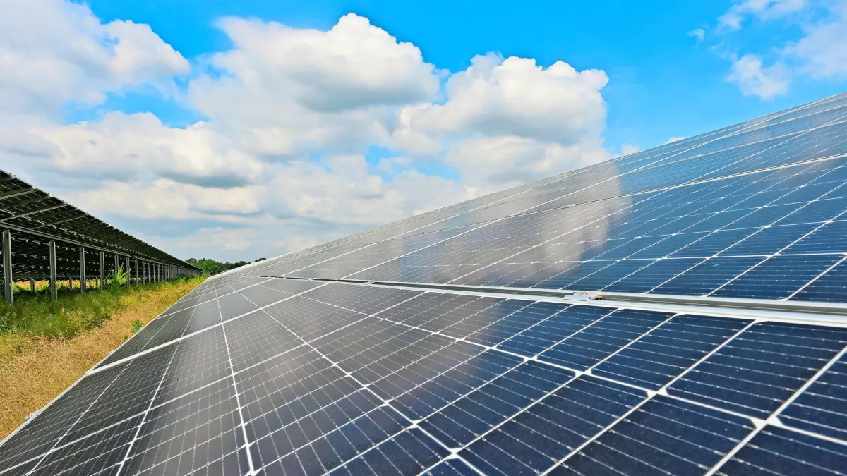 Ein EnBW-Solarpark im Oderbruch. Deutschlandweit baut der Energieversorger EnBW die erneuerbaren Energien aus. Nach dem Willen der Bundesregierung soll der Anteil des aus erneuerbaren Energien erzeugten Stroms am gesamten Stromverbrauch bis 2030 von derzeit knapp unter 50 auf mindestens 80 Prozent steigen. (zu dpa: Photovoltaik boomt: Neue Chancen für die deutsche Solarindustrie) +++ dpa-Bildfunk +++