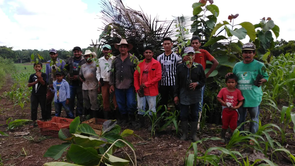 Mit Unterstützung aus Gaildorf: Aufforstungsprojekt in der Provinz Petén in Guatemala.