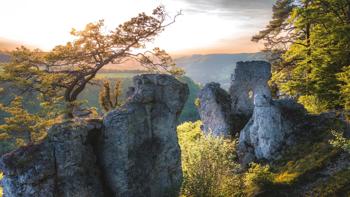 Die einzigartige Landschaft der Schwäbischen Alb wurde erneut mit der Grünen Karte der UNESCO ausgezeichnet.