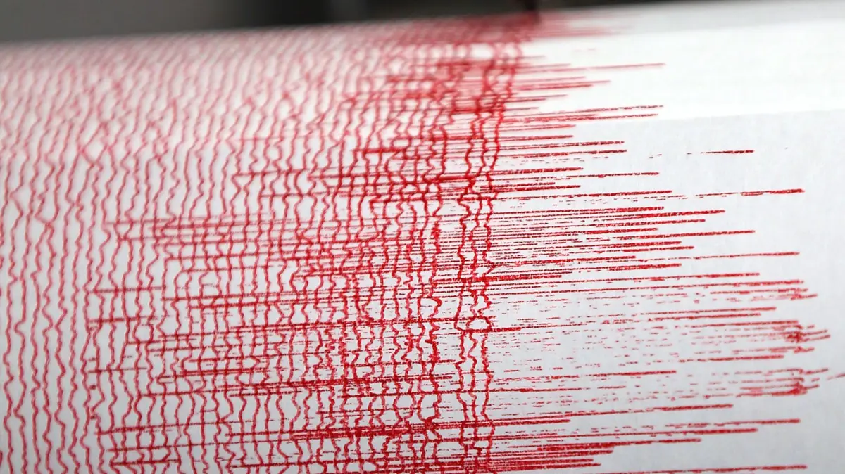 ARCHIV - 14.02.2011, Nordrhein-Westfalen, Bergisch-Gladbach: Der Seismograph der Erdbebenwarte verzeichnet Ausschläge. (zu dpa: «Beben berechnen, Beben begegnen») Foto: Oliver Berg/dpa +++ dpa-Bildfunk +++