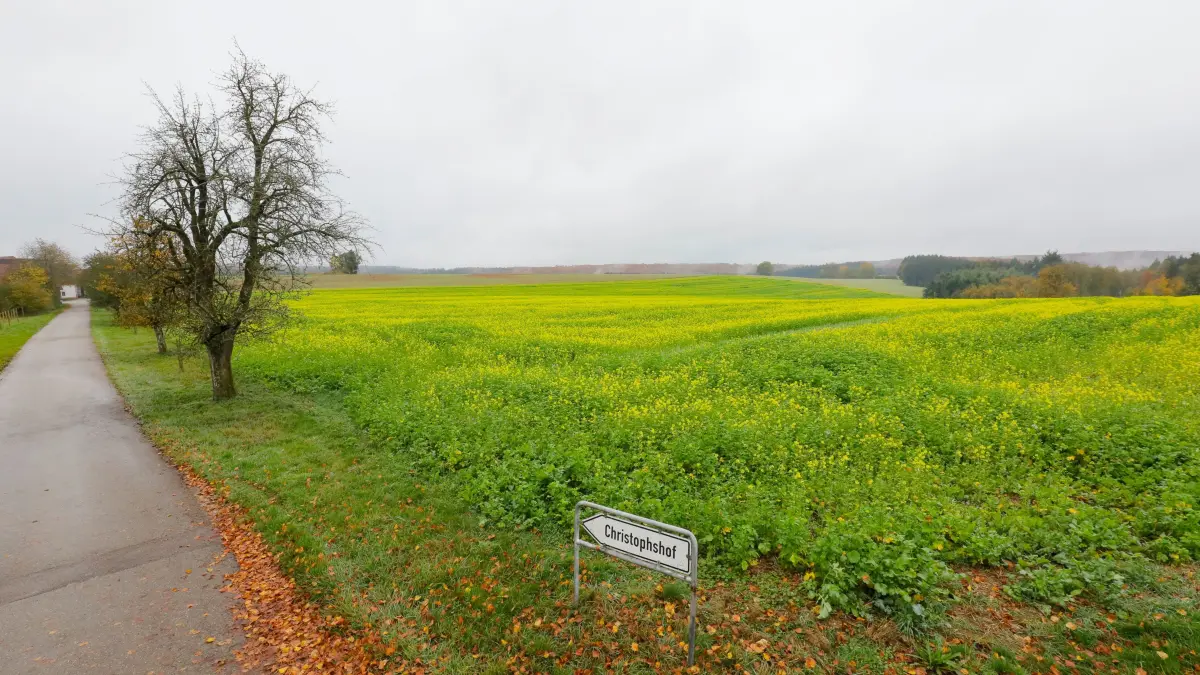 Waldhausen - Standort für geplanten Solarpark beim Christophshof