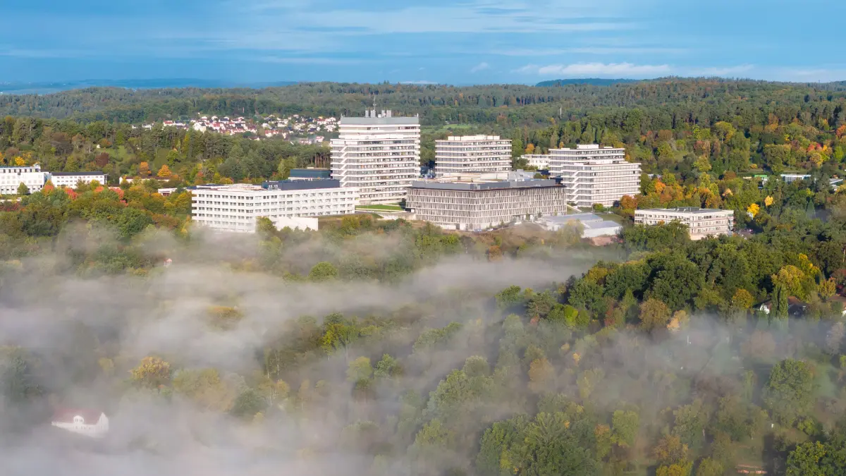 Die Morgenstelle im Nebel 10 24