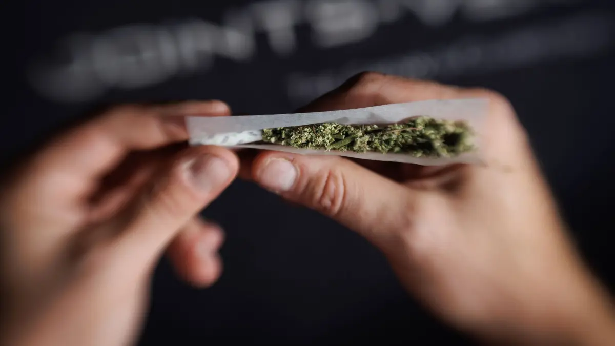 Cannabis: ARCHIV - 30.09.2024, Nordrhein-Westfalen, Bielefeld: Ein Joint mit Cannabis ist in einem Social Club zu sehen. (zu dpa: «Wie Frankfurt eine kontrollierte Cannabis-Abgabe testen will») Foto: Friso Gentsch/dpa +++ dpa-Bildfunk +++