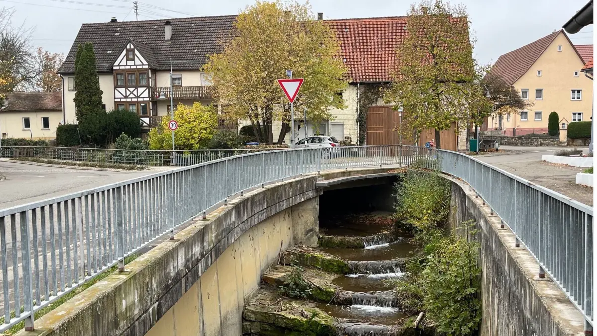 Durch Verdolungen wie diese fließt der Reichenbach in einem Teil von Stetten unterirdisch. Das 1976 fertiggestellte Betonbauwerk bröselt nun allerdings und muss dringend saniert werden. Und es ist nicht die einzige Stelle, die in Hechingen Sorgen macht.
