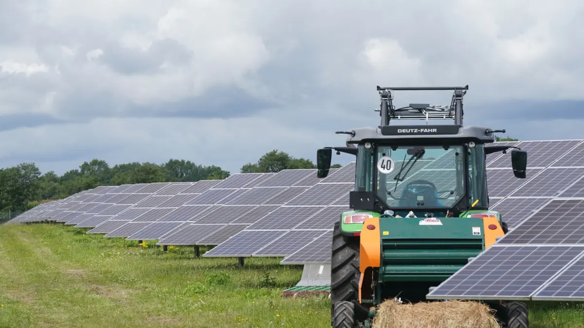 03.08.2023, Schleswig-Holstein, Klein Rheide: Blick auf die Solarmodule im Solarpark Klein Rheide. Bundeswirtschaftsminister Habeck hat die biodiversitätsfördernde Agri-PV-Anlage im Rahmen seiner Sommertour in seinem Wahlkreis Flensburg-Schleswig besucht. Foto: Marcus Brandt/dpa +++ dpa-Bildfunk +++