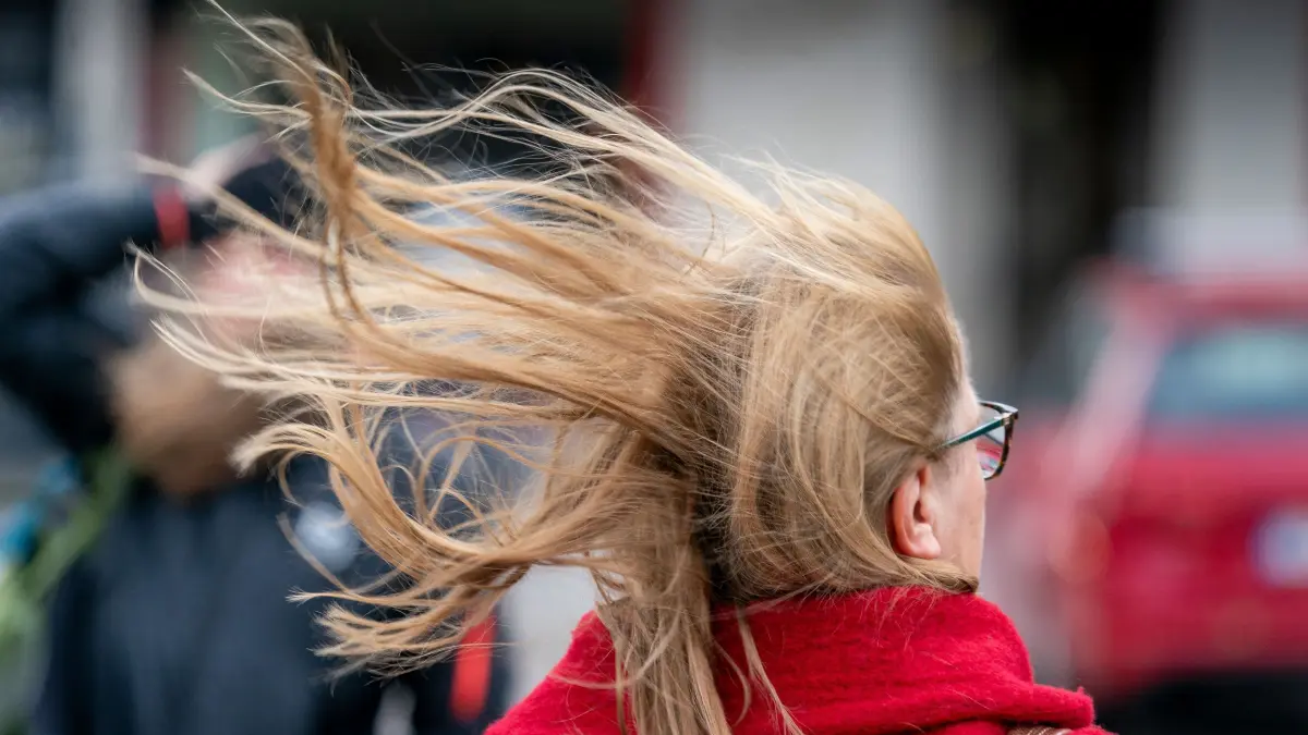 Ein kleiner Augenblick im Leben eines kleinen Lokalfotografen...