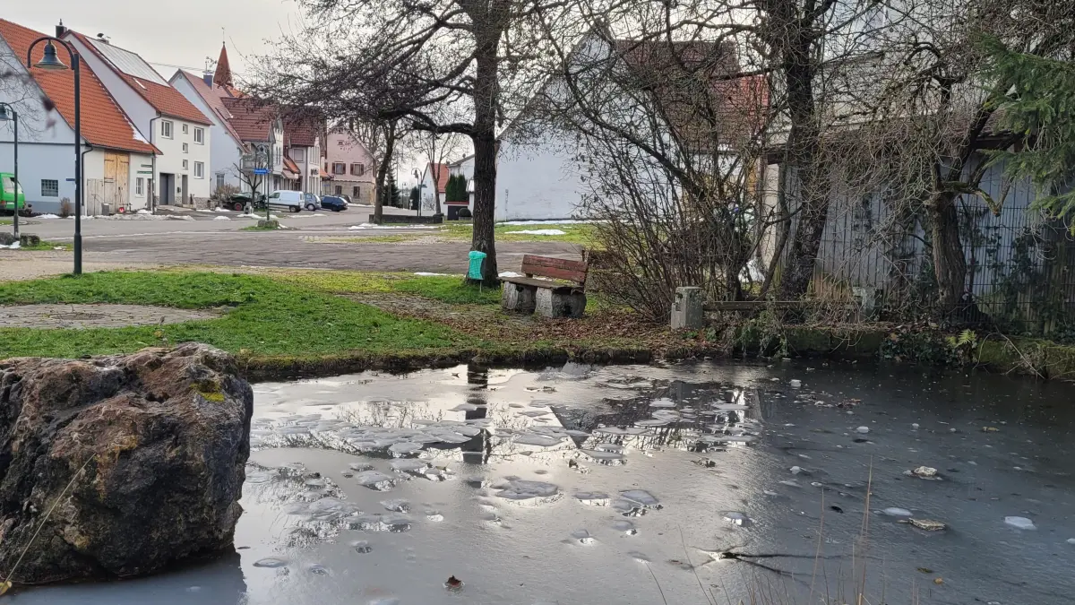 Blick von der Hüle auf das Löwenareal, welches sich in einen Dorfplatz für alle verwandeln soll.