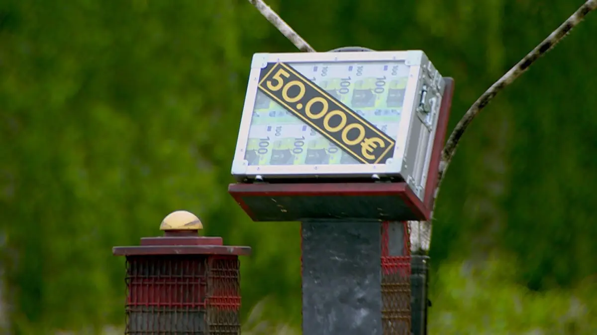 In Folge 10 stand im „Sommerhaus der Stars“ das große Finale an. Wer sind die Gewinner?
