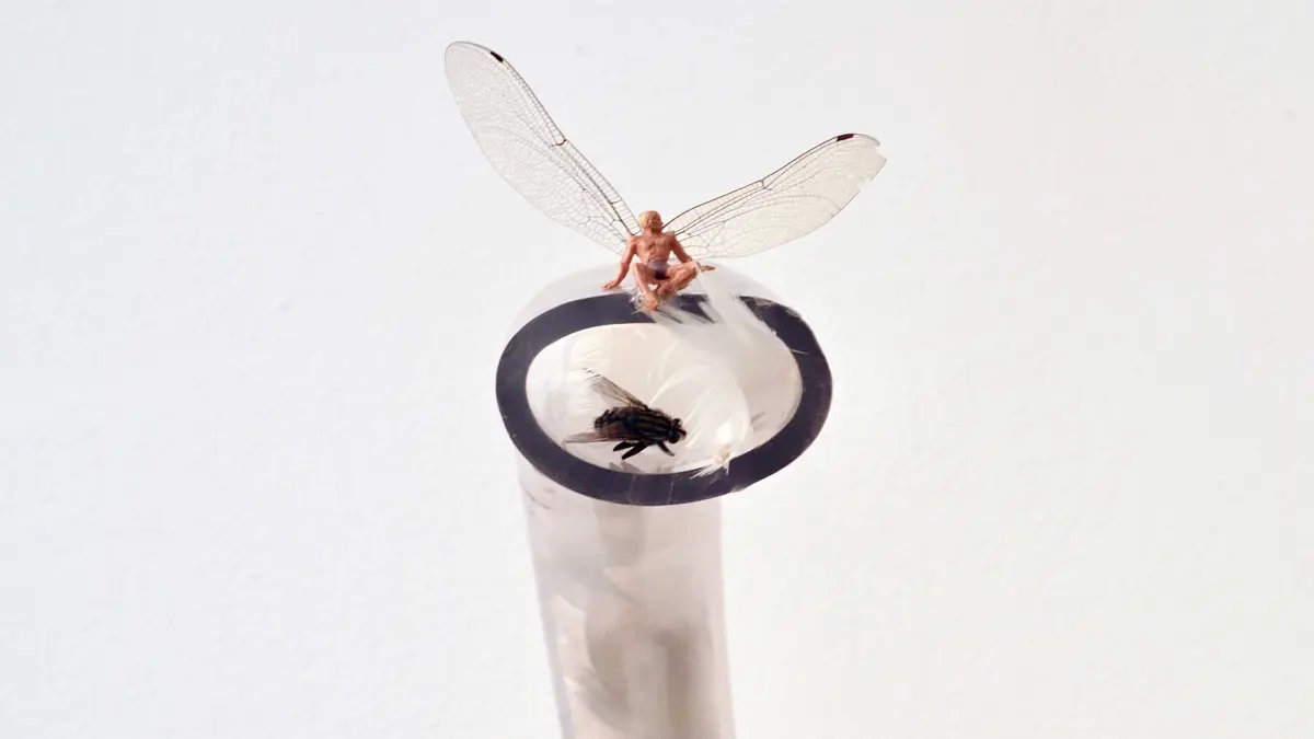 Installation von Reinhard Köhler zum Thema Fliegen