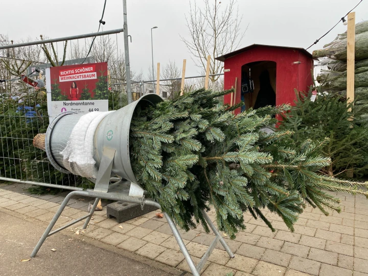 Hier finden Sie noch rechtzeitig einen Baum vor den Festtagen