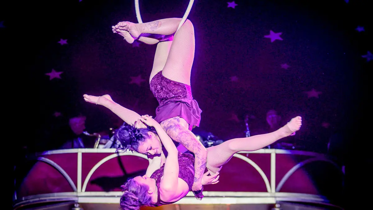 Festplatz Friedrichsau: Ulmer Weihnachtscircus