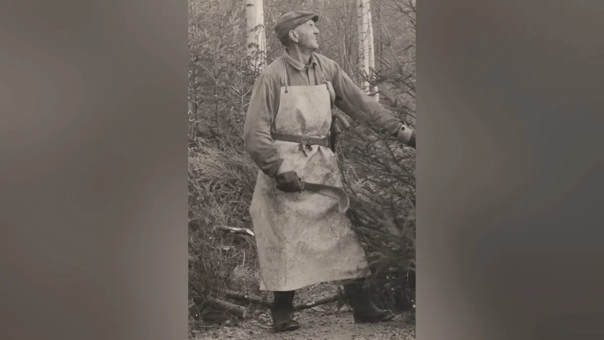 Hermann Vollmer, Landwirt und Waldarbeiter, beim Christbaumschlagen im Winter, 1960er Jahre, im Rottenburger Stadtwald.