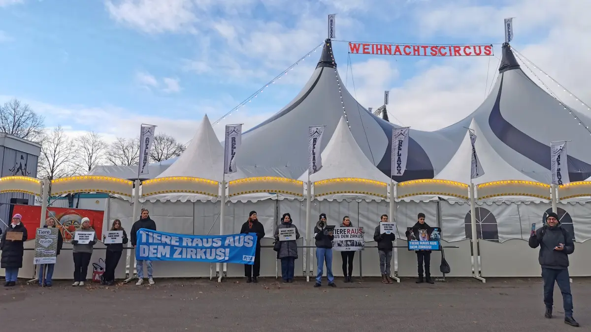 Die Demonstrantinnen und Demonstranten von Peta forderten ein Wildtierverbot in Zirkussen.