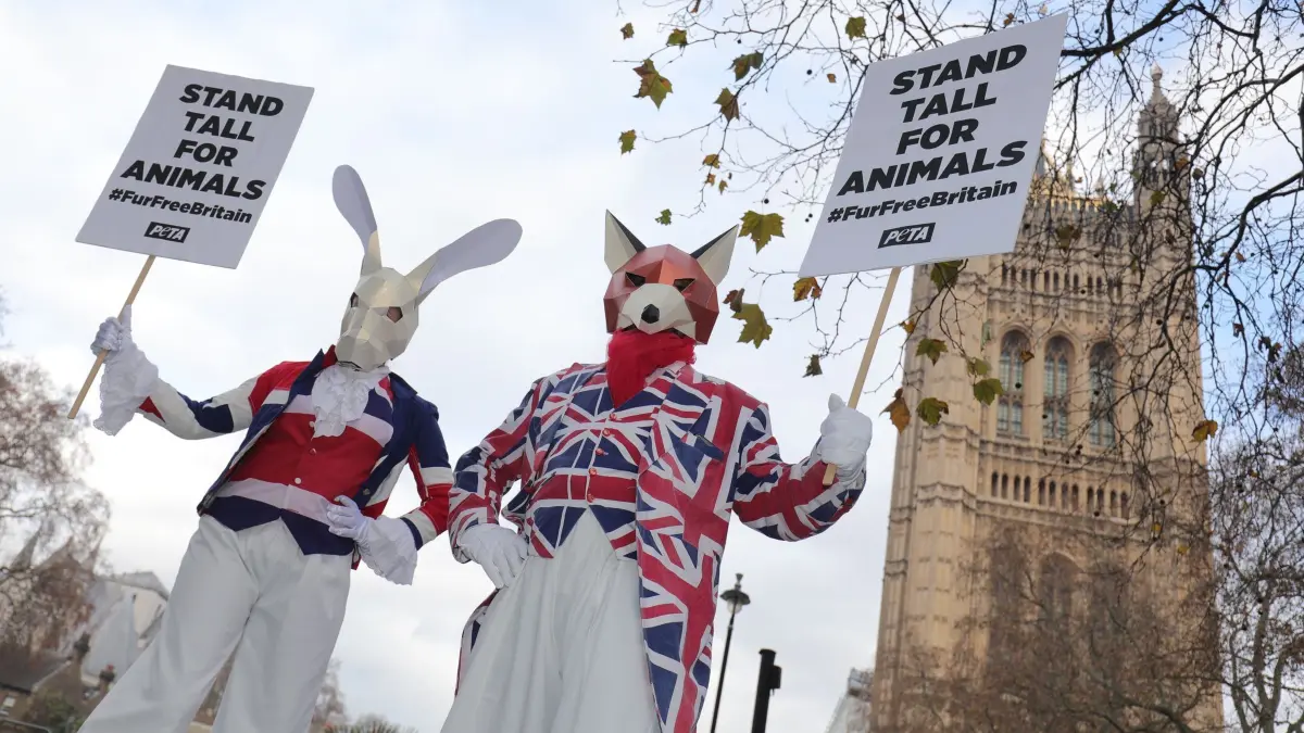Protest gegen die Fuchsjagd in Großbritannien