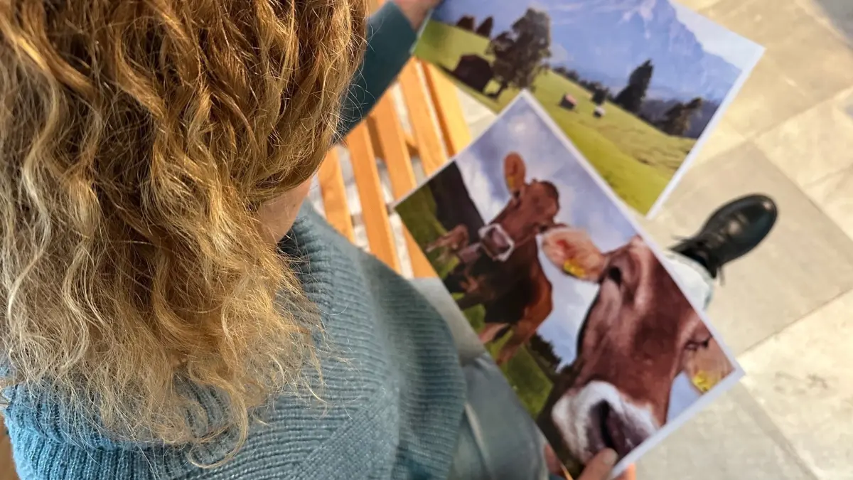 Frau blickt auf Bilder vom Allgäu.