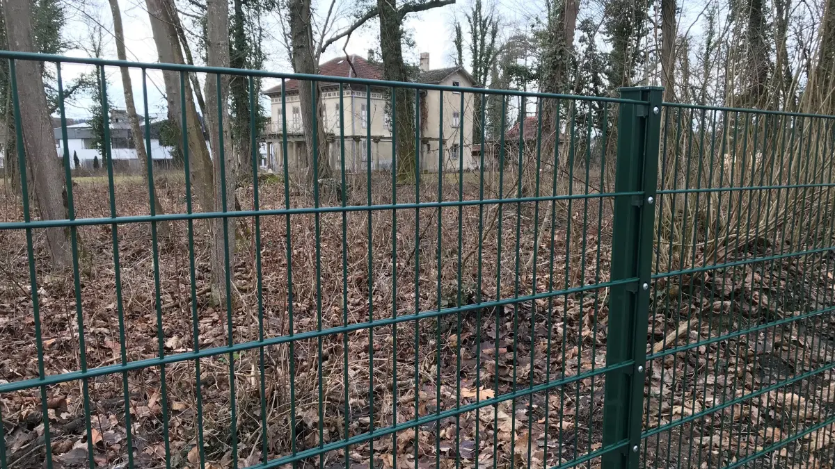 Seit knapp einem Jahr hat man im Hechinger Fürstengarten reichlich freie Sicht auf die Villa Silberburg. Die Baumfällungen damals hätten allerdings durch den Natur- und den Denkmalschutz genehmigt werden müssen. Der neue Zaun ist angefragt und gutgeheißen worden.