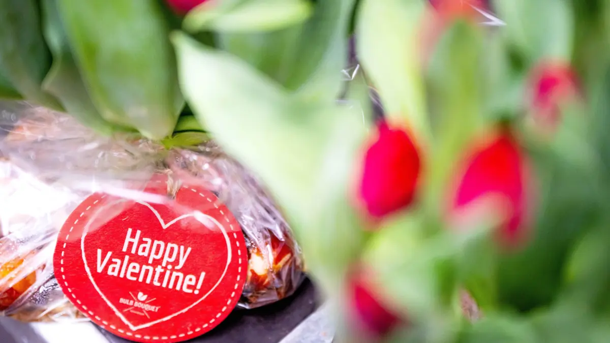 Am 14. Februar ist Valentinstag! Hier findet ihr die schönsten romantischen Sprüche und Zitate zum Verschicken über Whatsapp und Co. an die Freundin und den Freund. Und nicht nur Partnerin oder Partner, sondern auch Freunde freuen sich über eine liebe Nachricht an diesem Tag.