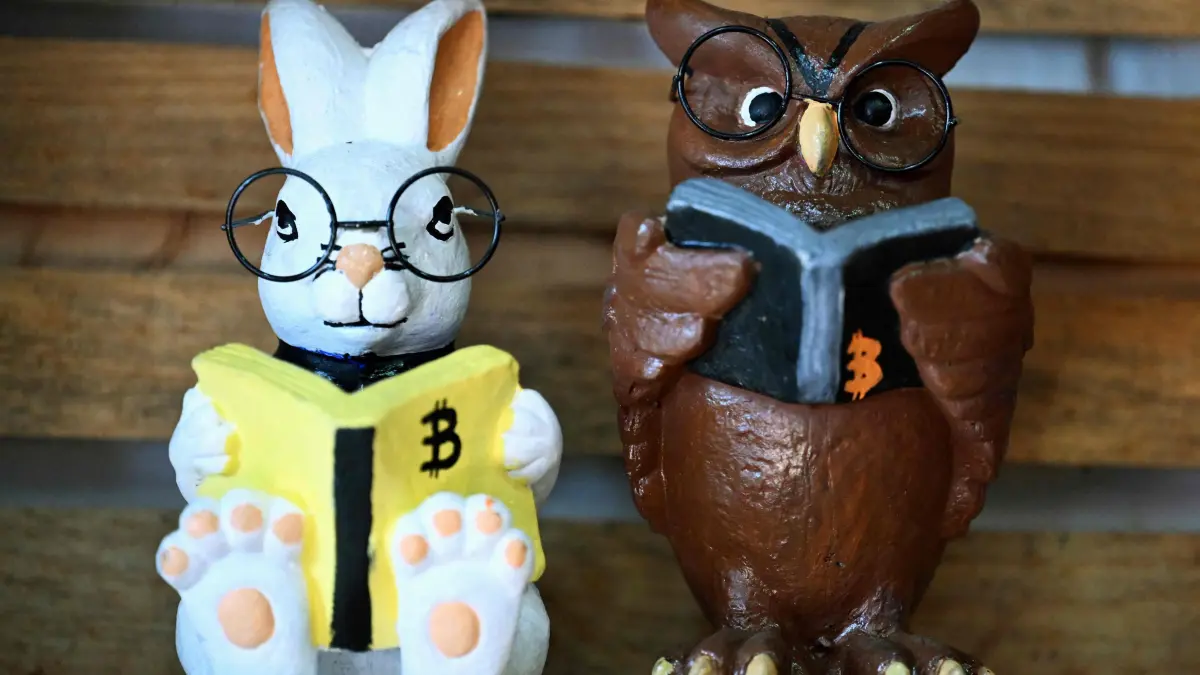 Clay figures with the B of bitcoin are seen in a cafeteria at the headquarters of the Bitcoin Community Center, a space created for Salvadorans and foreigners interested in cryptocurrencies in Berlin, El Salvador on January 20, 2025. Bitcoin enthusiasts seeking to turn a mountain town in El Salvador into a cryptocurrency haven hope that US President Donald Trump's return to the White House will boost their cause. (Photo by Marvin RECINOS / AFP)