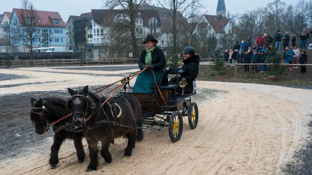 Gespannprämierung 87. Gaildorfer Pferdemarkt 2025
