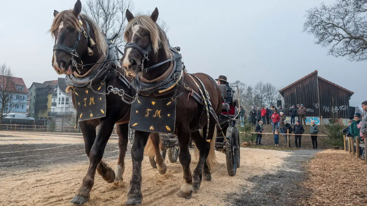 Gespannprämierung 87. Gaildorfer Pferdemarkt 2025