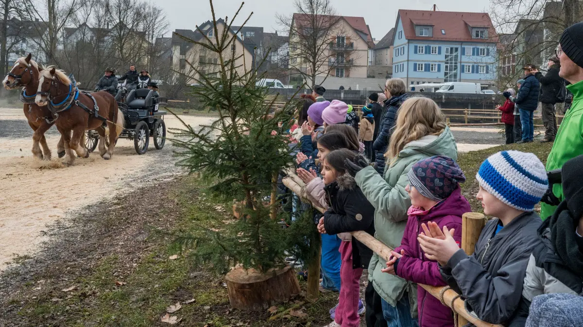 Gespannprämierung 87. Gaildorfer Pferdemarkt 2025