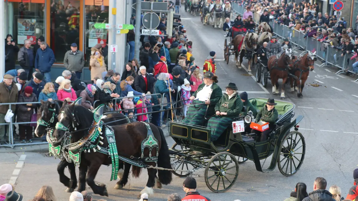 All die schönen Pferde: Reiter, Kutschen und Gespanne dominieren einen Großteul des Umzugs, darunter auch eine Postkutsche und – hier im Vordergrund – der von sechs Pferden gezogene Langholzwagen aus Alfdorf.