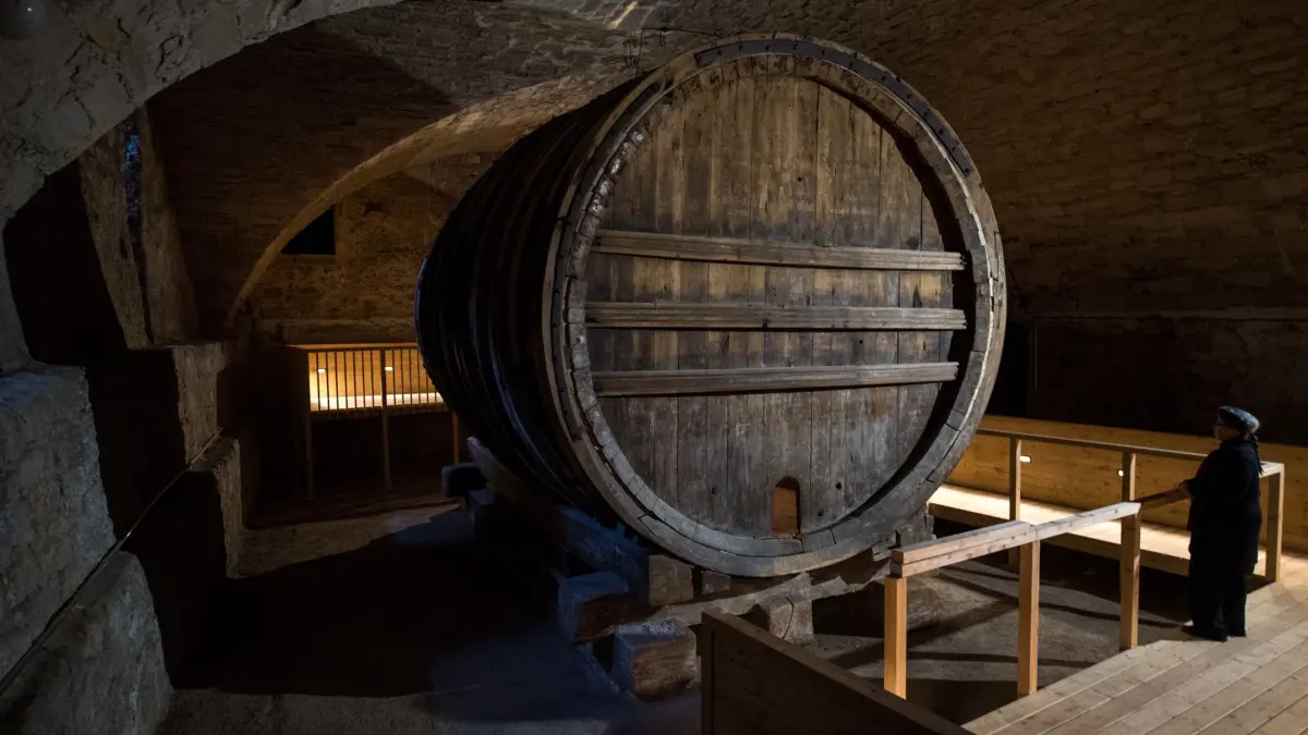 Riesiges Fass im Tübinger Schlosskeller: ARCHIV - 14.11.2017, Baden-Württemberg, Tübingen: Ein riesiges Fass steht am 15.11.2017 im Keller des Schlosses Hohentübingen in Tübingen (Baden-Württemberg). Ab Januar ist das älteste erhaltene Riesenweinfass der Welt wieder für Besucher zu besichtigen. Foto\ Sebastian Gollnow/dpa +++(c) dpa - Bildfunk+++ (zu dpa: «Mehr Besucher auf dem Königstein - 2025 Fest für Riesenfass») Foto: Sebastian Gollnow/dpa +++ dpa-Bildfunk +++