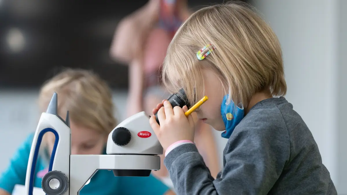 399747790 - Grundschüler arbeiten an Mikroskopen. Schon von der Kita und Grundschule an sollen Kinder für MINT-Fächer begeistert werden. (zu dpa: «Weg vom «Nerd»-Klischee - Wie MINT-Fachkräfte gewonnen werden») +++ dpa-Bildfunk +++