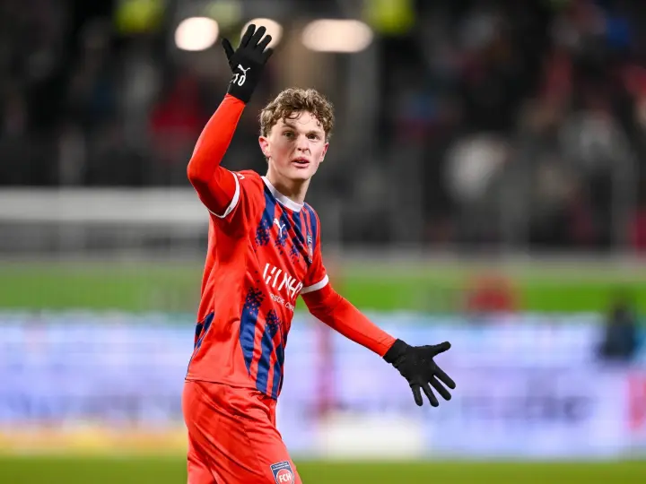 Heidenheim swp de