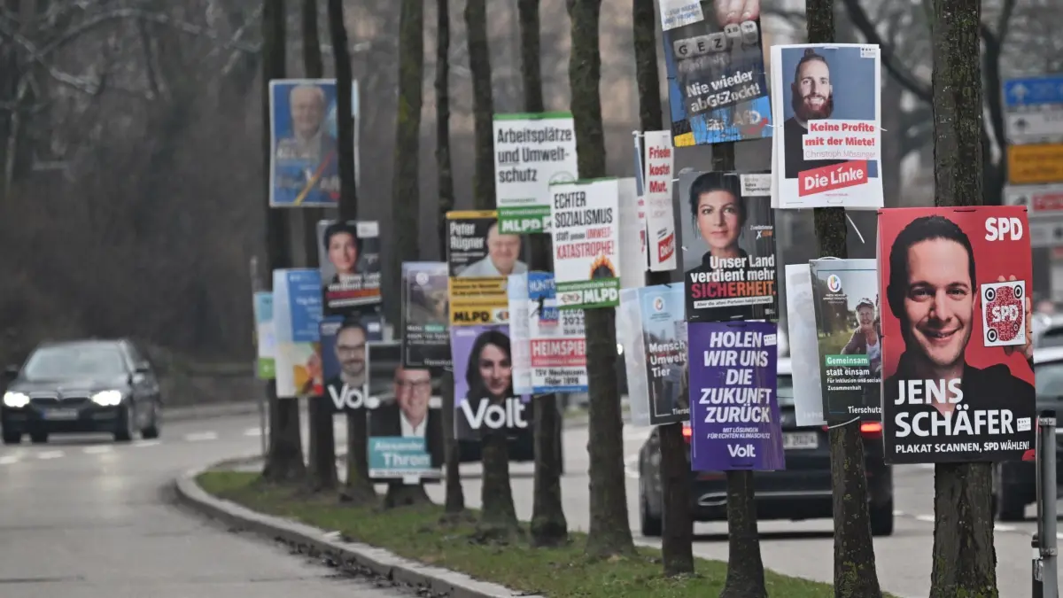 Wahlkampf Bundestagswahl - Plakate: ARCHIV - 14.02.2025, Baden-Württemberg, Heilbronn: Wahlplakate für die Bundestagswahl 2025 hängen dicht hintereinander an Bäumen an einer Zufahrtsstraße zur Heilbonner Innenstadt. (zu dpa: «Duell ums Direktmandat: Hier lohnt sich der Blick besonders») Foto: Bernd Weißbrod/dpa +++ dpa-Bildfunk +++
