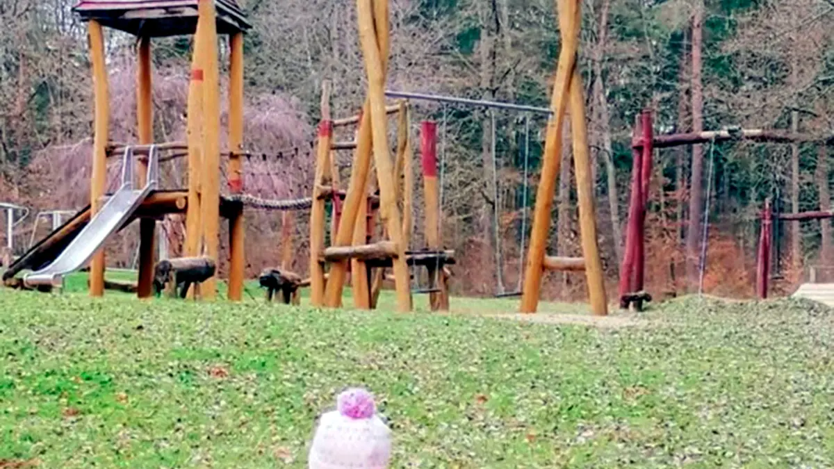 Spielplatzbienchen - Waldspielplatz in Lorch