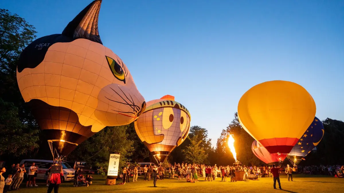 Ballonblühen
