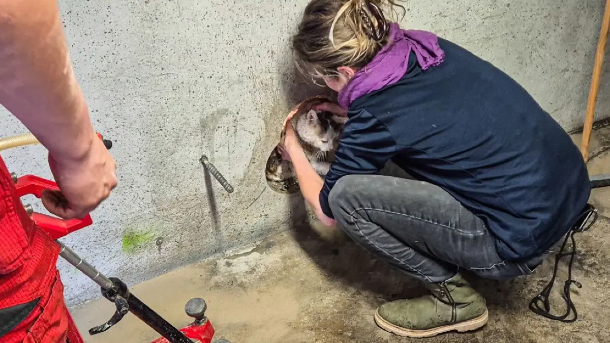 Feuerwehr Gaildorf Einsatz Katze Befreiung 16. März 2025