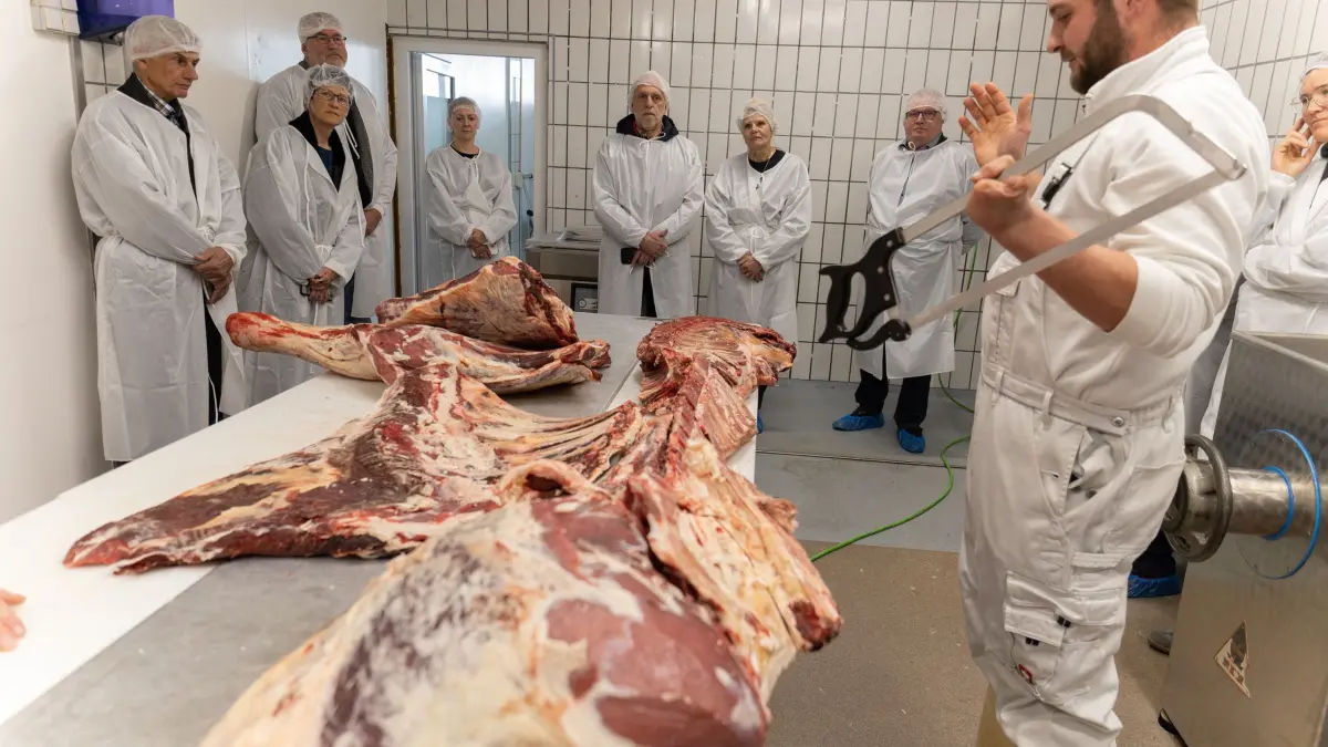 Die Teilnehmer hatten bei Felician Schäfer, der zusammen mit seinem Vater Alexander Schäfer eine Rinderzucht in Schörzingen mit annähernd 200 Tieren betreibt, die Gelegenheit, live mitzuerleben, wie ein Angusrind auseinandergenommen wird.