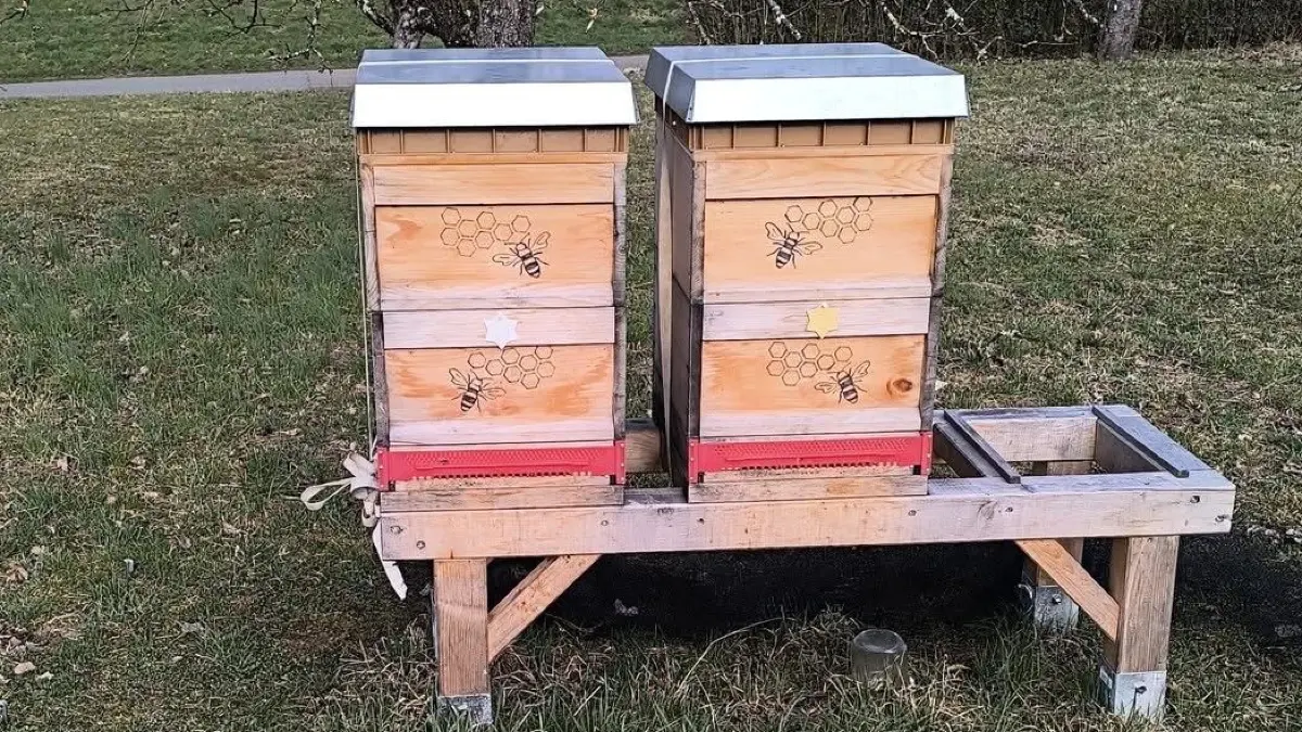 Diese beiden Bienenstöcke wurden am Montag in Bempflingen von einer Streuobstwiese gestohlen.