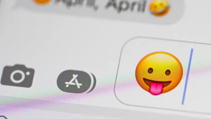 Heiße Donau, schiefe Türme und Scheidung in der Wilhelma