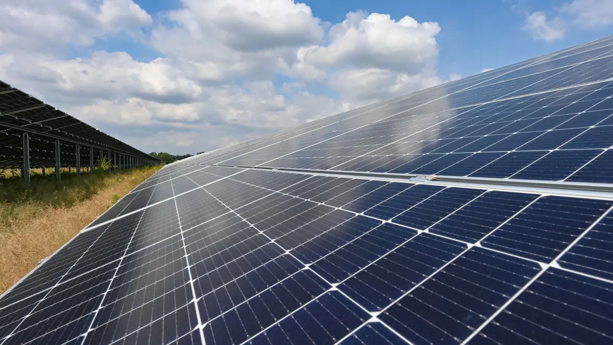 Ein Solarpark im Oderbruch. Die Solarbranche in Deutschland sieht wegen Plänen der Bundesregierung Investitionen in Milliardenhöhe gefährdet. (zu dpa: «Solarbranche sieht Investitionen in Milliardenhöhe gefährdet») +++ dpa-Bildfunk +++