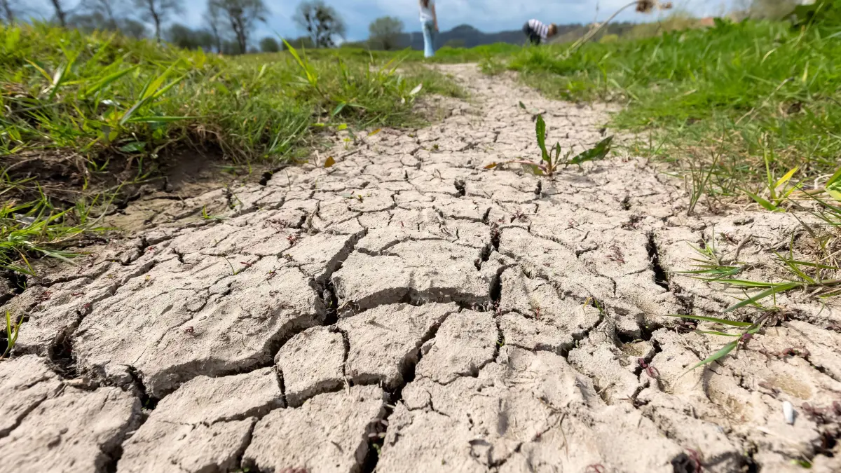Trockenheit in Deutschland: Trockenheit in Deutschland DEU, Deutschland, Brev?rde: Das Bild zeigt eine von Rissen durchzogene, ausgetrocknete Erdfl?che in einer Wiese am Ufer der Weser bei Brev?rde in Niedersachsen. Obwohl das umliegende Gras noch gr?n ist, deutet der aufgebrochene Boden auf anhaltende Trockenheit hin ? und das bereits im Fr?hling. Im Hintergrund sind B?ume, h?gelige Landschaft und ein bew?lkter Himmel zu sehen. Die Szene macht die Auswirkungen von D?rreperioden und fehlenden Niederschl?gen in Deutschland sichtbar. Brev?rde Niedersachsen Deutschland *** Drought in Germany DEU, Germany, Brev?rde The picture shows a cracked, dried-out area of earth in a meadow on the banks of the Weser near Brev?rde in Lower Saxony Although the surrounding grass is sti