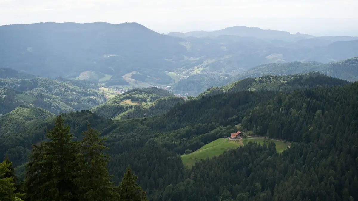 ARCHIV - Von einem Aussichtspunkt in Oppenau (Baden-Württemberg) im Renchtal ist am 08.07.2015 der Schwarzwald zu sehen. Foto: Daniel Naupold/dpa +++ dpa-Bildfunk +++
